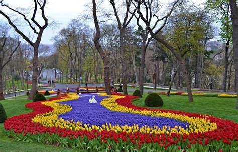 İstanbul'da En Güzel Çiçek ve Bitki Pazarları